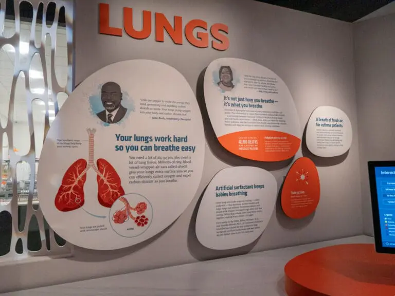 Advancing Health exhibit at the Cincinnati Museum Center