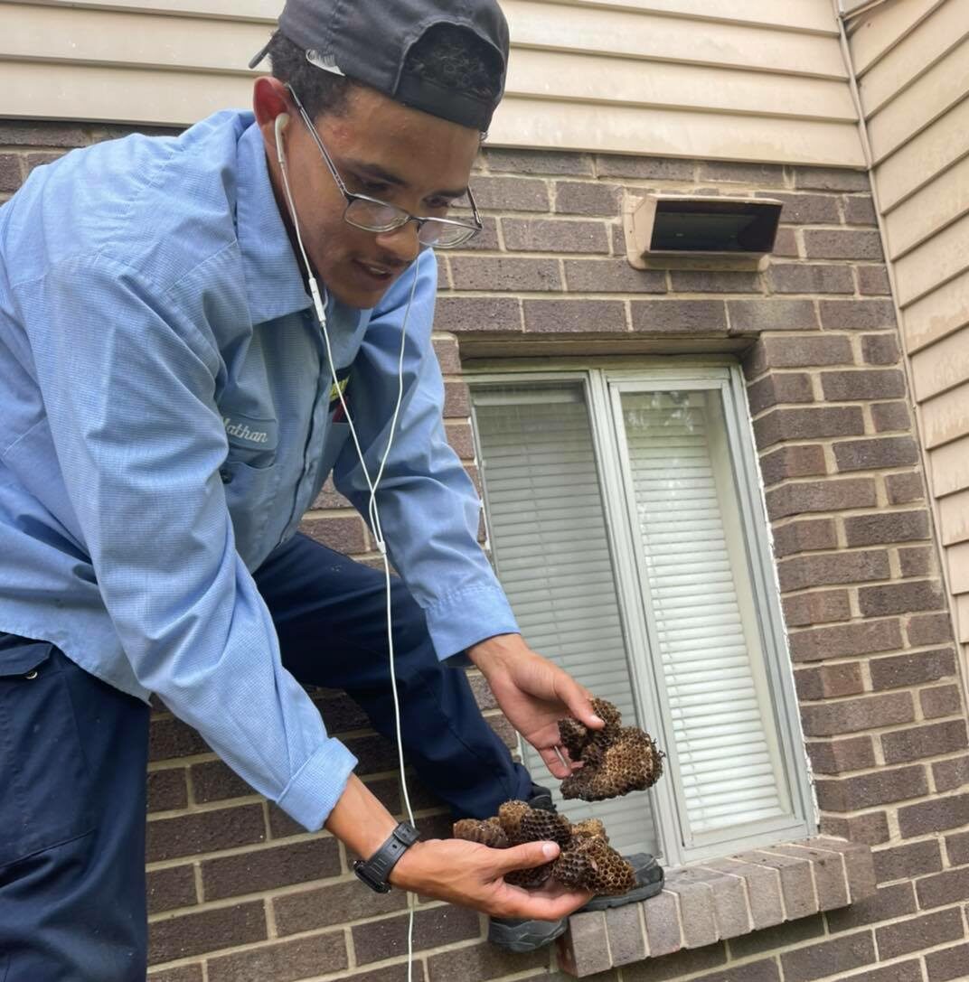 All Gone Termite and Pest Control | Image of an African American man holding an insect nest