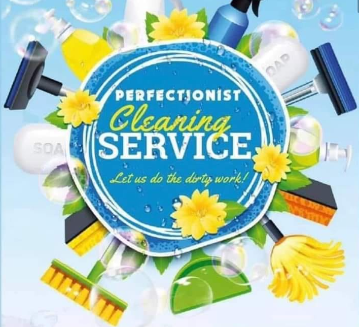 perfectionist cleaning service