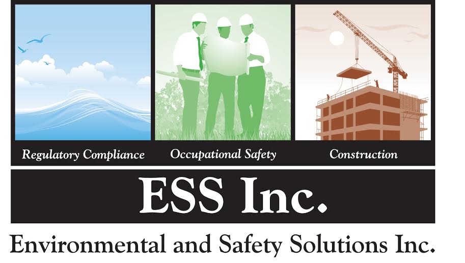 Environmental and Safety Solutions Inc.