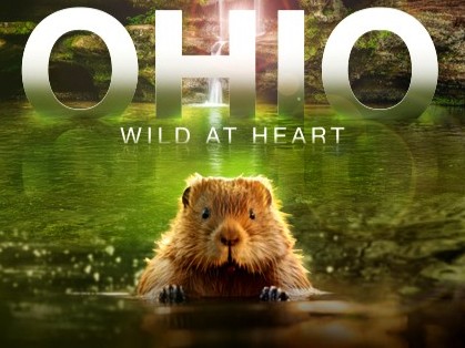 Ohio Wild At Heart Flyer